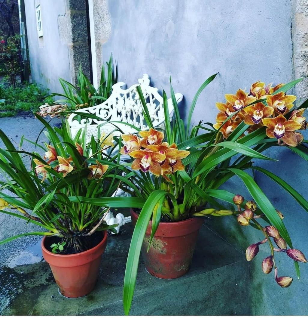 Appartamento A Casa Da Parrula San Giacomo di Compostella Esterno foto