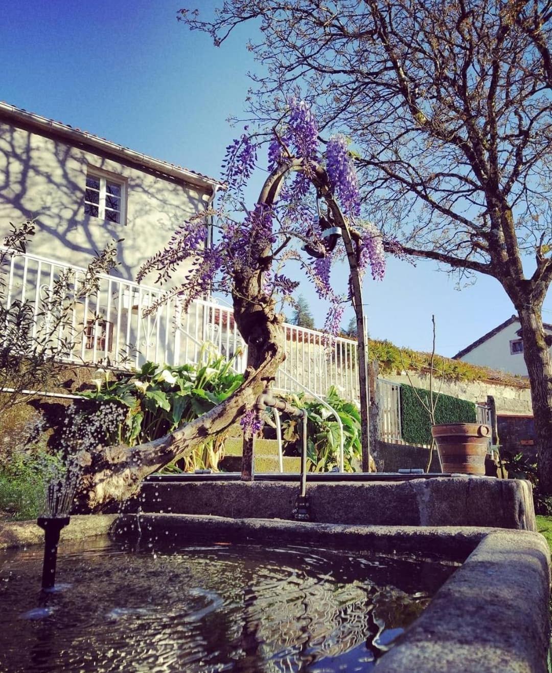 Appartamento A Casa Da Parrula San Giacomo di Compostella Esterno foto